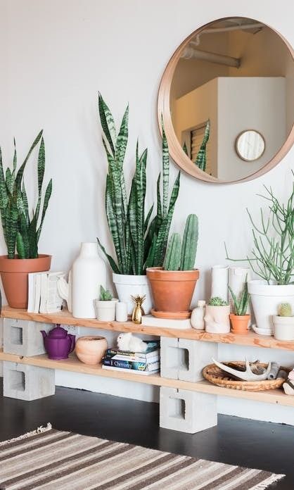 Home Decor