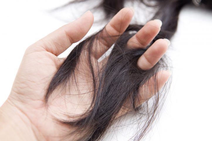 shampoo for dry hair